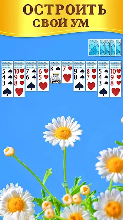 Game screenshot Пасьянс Паук apk download