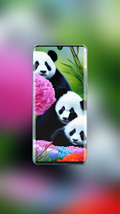 Panda Cute Wallpaper
