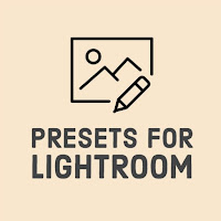 Presets Lightroom Mobile  LR Presets