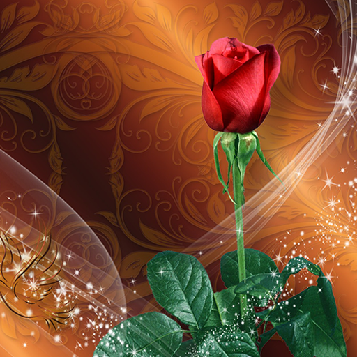 Roses Live Wallpaper - Apps on Google Play