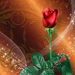 Icon image Roses Live Wallpaper