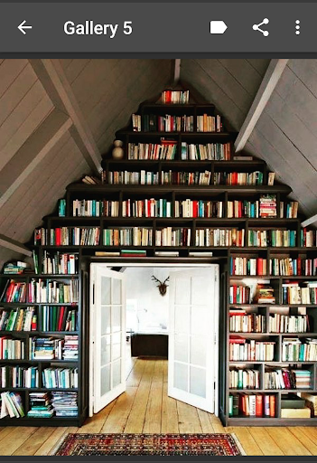 Bookshelf Screen 3