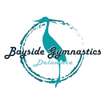 Cover Image of Download BAYSIDE GYMNASTICS  APK