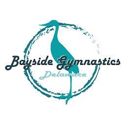 「BAYSIDE GYMNASTICS」のアイコン画像