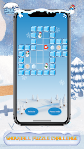 Snowball Puzzle Challenge