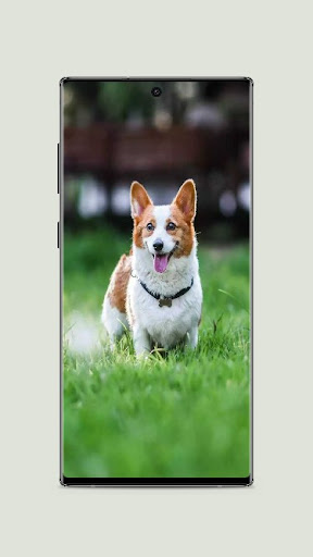 Dog aesthetic Wallpaper Screen 3