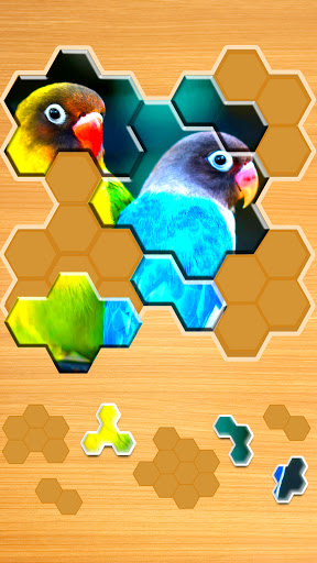 Jigsaw Puzzles Hexa ud83eudde9ud83dudd25ud83cudfaf android2mod screenshots 2