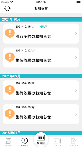 RITZ CLEANING Screen 3