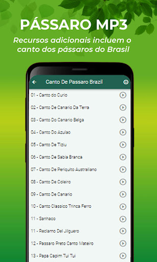 Canto do Azulão Fêmea Screen 3