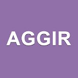 AGGIR - GIR et Calcul APA icon