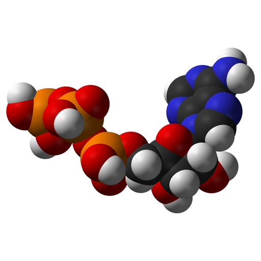 Metabolism logo