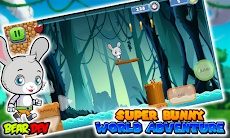 Super Bunny World Adventureのおすすめ画像4