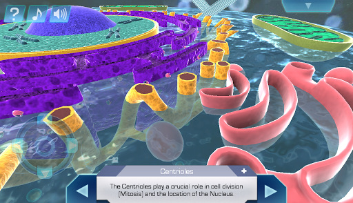 Cell World Screen 3