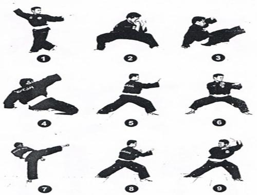 Learn Pencak Silat Techniques By Tikanuraini Android Apps Appagg