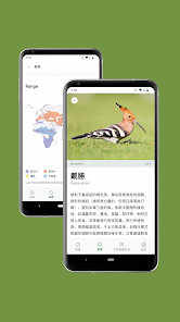 螢幕截圖圖片