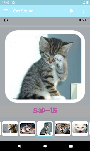 Cat Sounds Screen 3