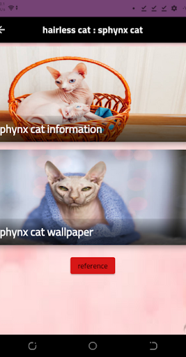 Android application hairless cat : sphynx cat screenshort