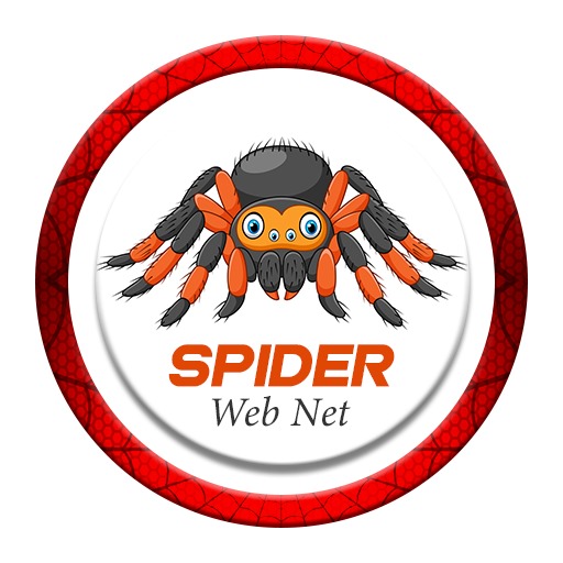 Spider web net logo