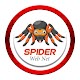 Spider web net