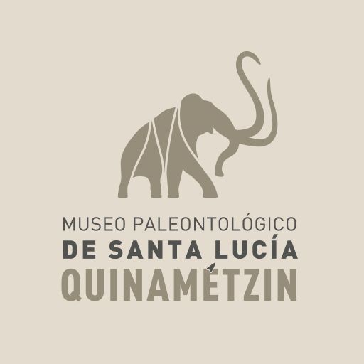 Quinametzin AR logo