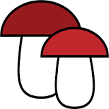 Mushroom identification from photos icon