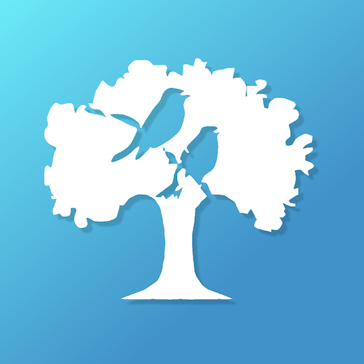 Fraccionamiento El Santuario logo