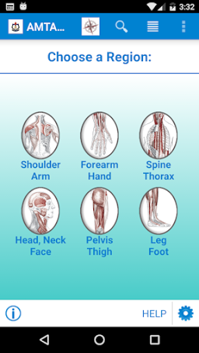 Android application AMTA Anatomy screenshort