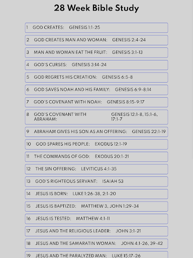 BibleStudy 28Weeks + KJV Audio Screen 2