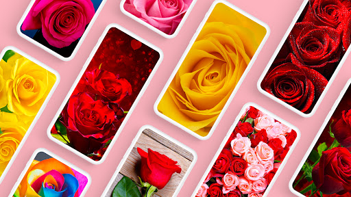 Android application Rose Wallpapers 4K screenshort