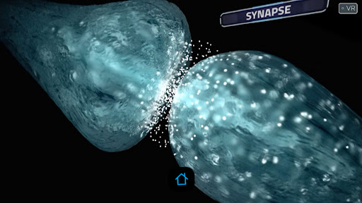 Random42 VR Screen 3