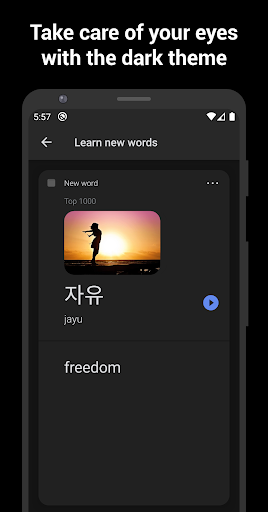 Screenshot of Learn Korean with flashcards!