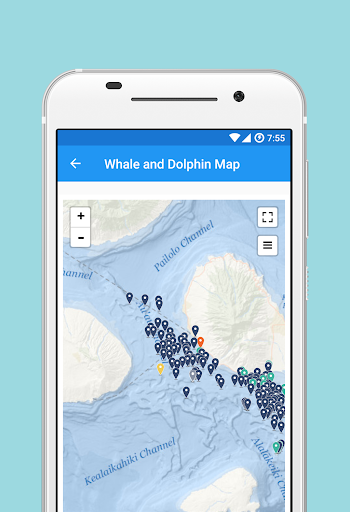 Whale and Dolphin Tracker Screen 3