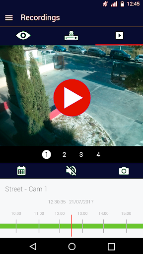 ELECTROSECURE EasyView Screen 3