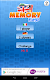 screenshot of Memo Flags Games