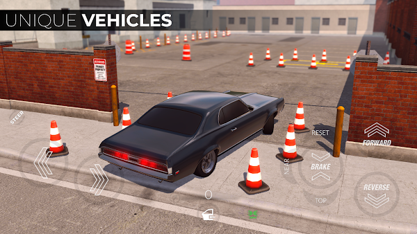Backyard Parking - Stage Two screenshot 15