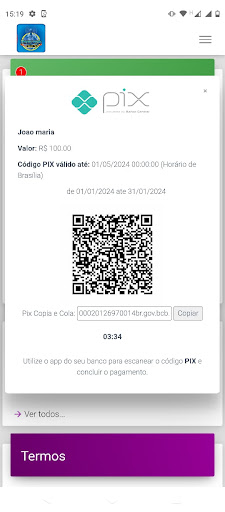 Provweb Internet Screen 2