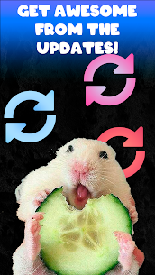 Hamster Clicker 4