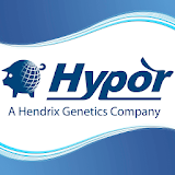 16th Hypor Convention icon