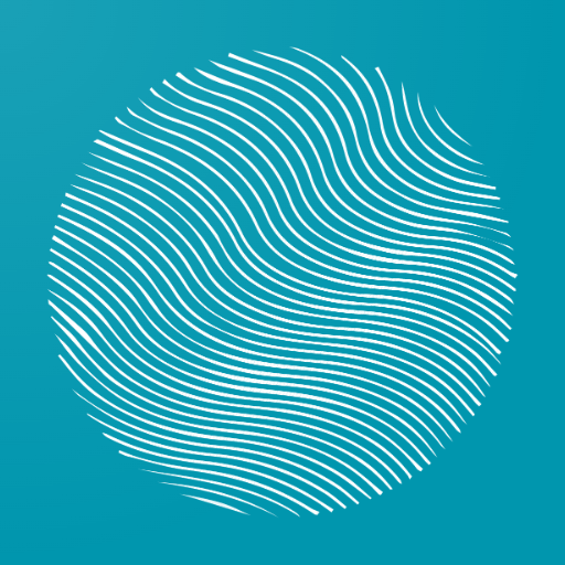 Seineway logo