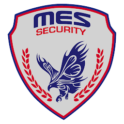 MY MES: Download & Review