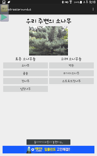 우리 주변의 소나무 Screen 2