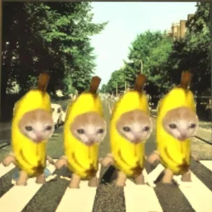 Banana Cat Crying