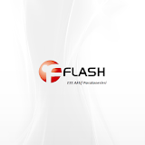 Flash Paratoner icon