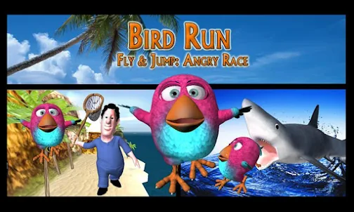 Bird Run.