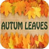 Photo Frames Autumn Leaves icon