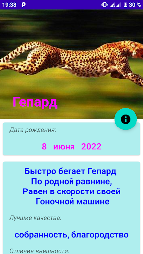 ZooSolar Screen 3