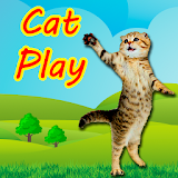 catPlay icon
