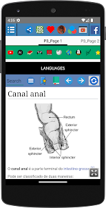 Canal anal Anatomia