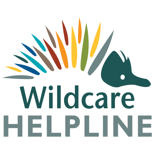 Wildcare Helpline logo