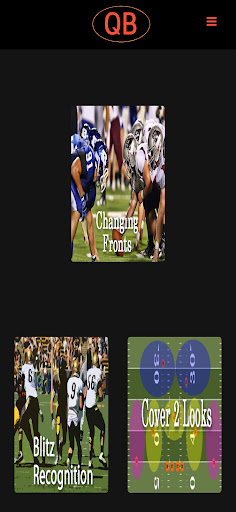QB Reads Screen 2